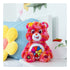 Care Bears 35cm Flower Power Bear Medium Plush