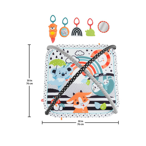 Fisher Price 3-In-1 Music, Glow & Grow Gym