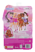 Barbie Dream Besties Doll - Teresa