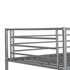 Brandon 3FT Bunk Bed - Silver
