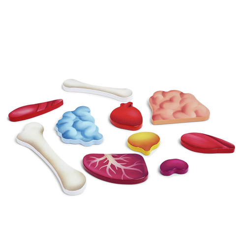 Hape Human Body Puzzle