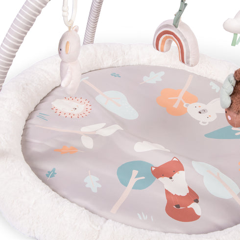 Red Kite Play Gym Woodlands Walks