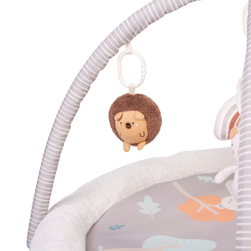 Red Kite Play Gym Woodlands Walks