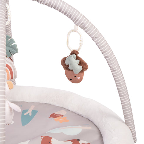 Red Kite Play Gym Woodlands Walks