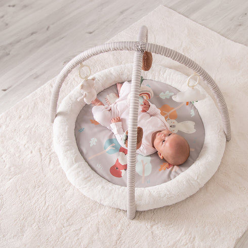 Red Kite Play Gym Woodlands Walks