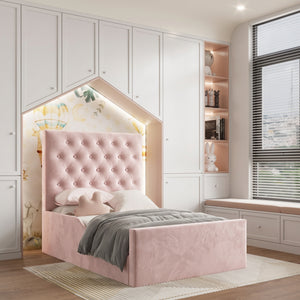 Plush Velvet Pink
