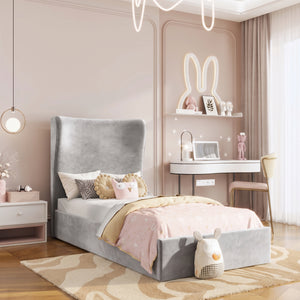 Plush Velvet Silver