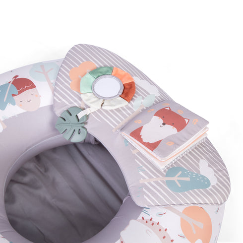 Red Kite Sit Me Up Woodlands Walks