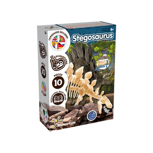 Stegosaurus Fossil Excavation