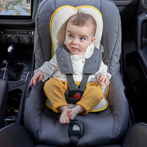 Babymoov Cosymorpho Fresh Smokey