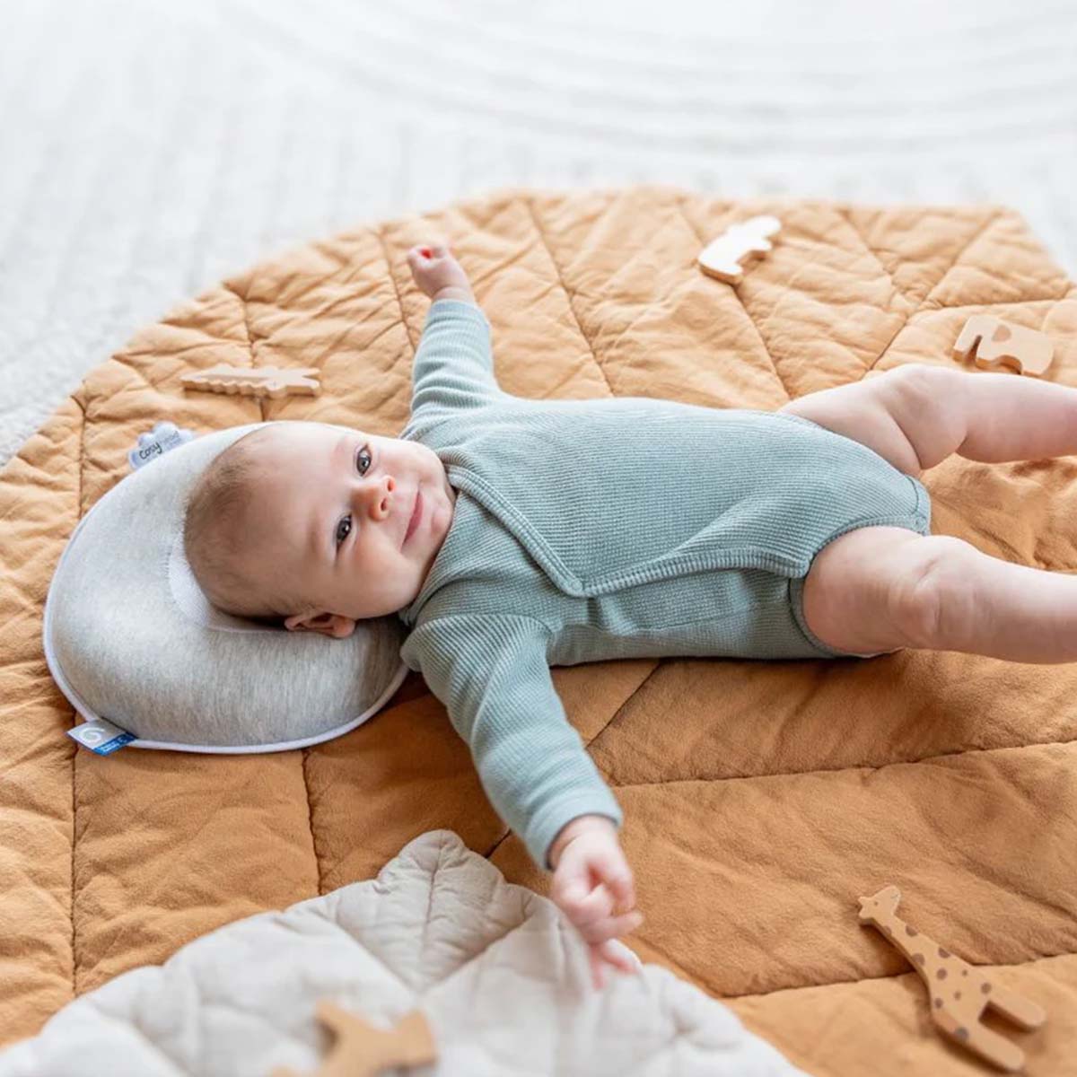 Babymoov Cosyhead Fresh Smokey