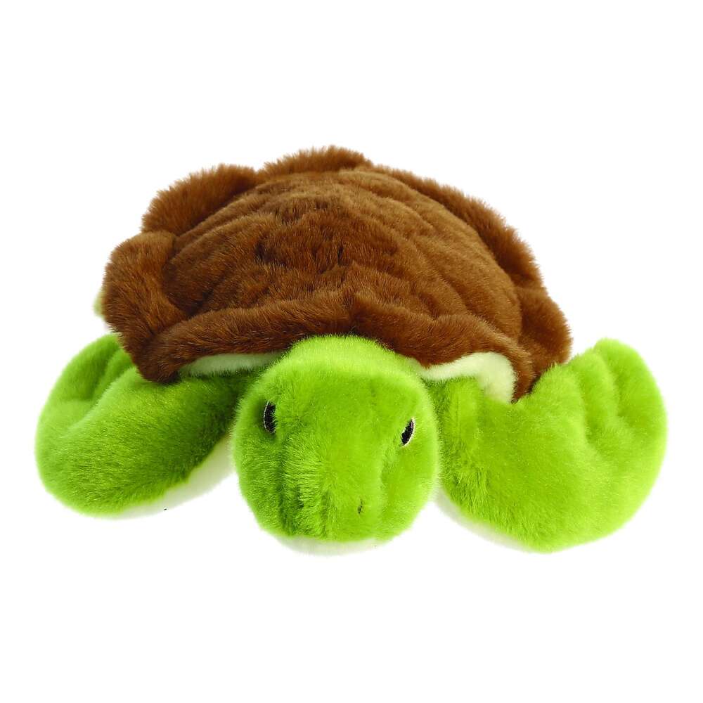 Eco Nation Turtle 10.5"