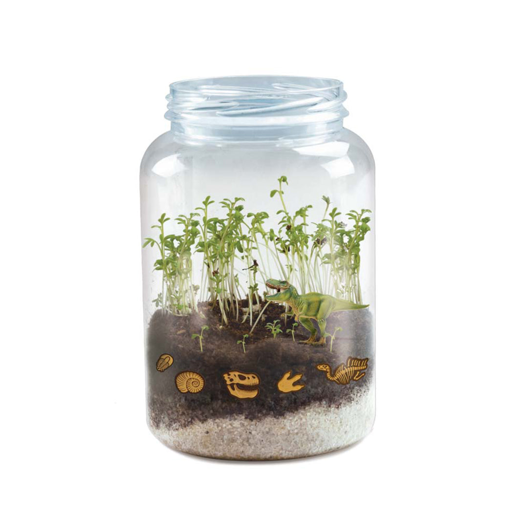 Dinosaur Terrarium