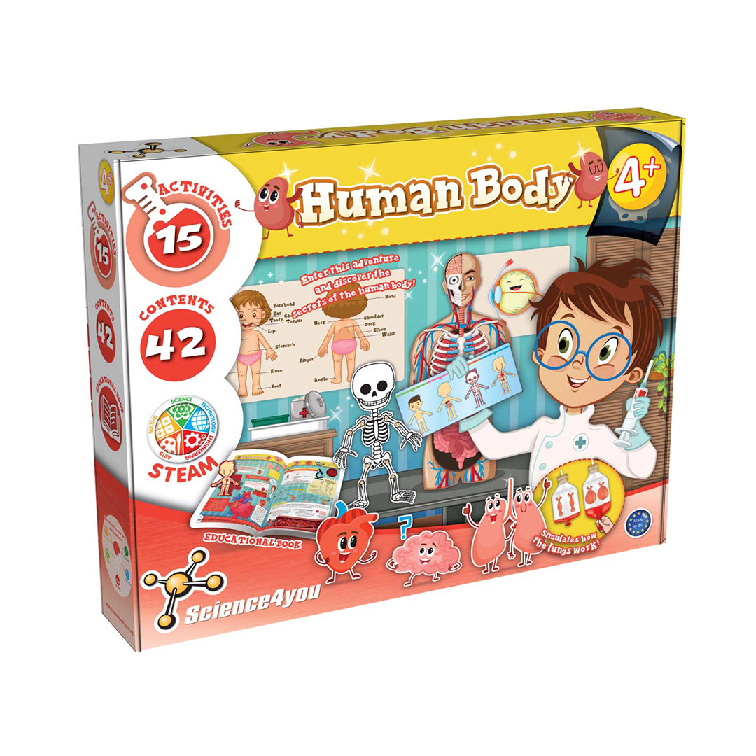 Human Body - Babyfair Ltd