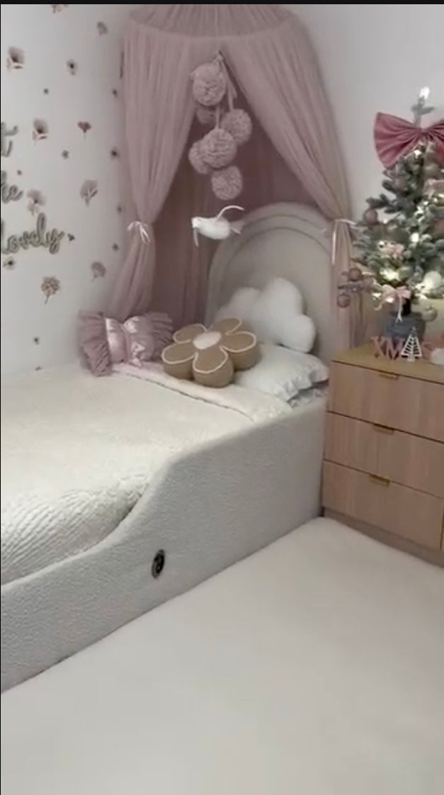 Customer video
