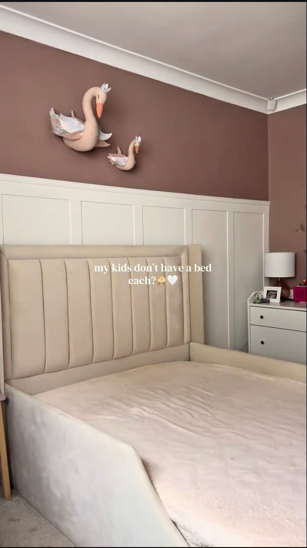 Customer video
