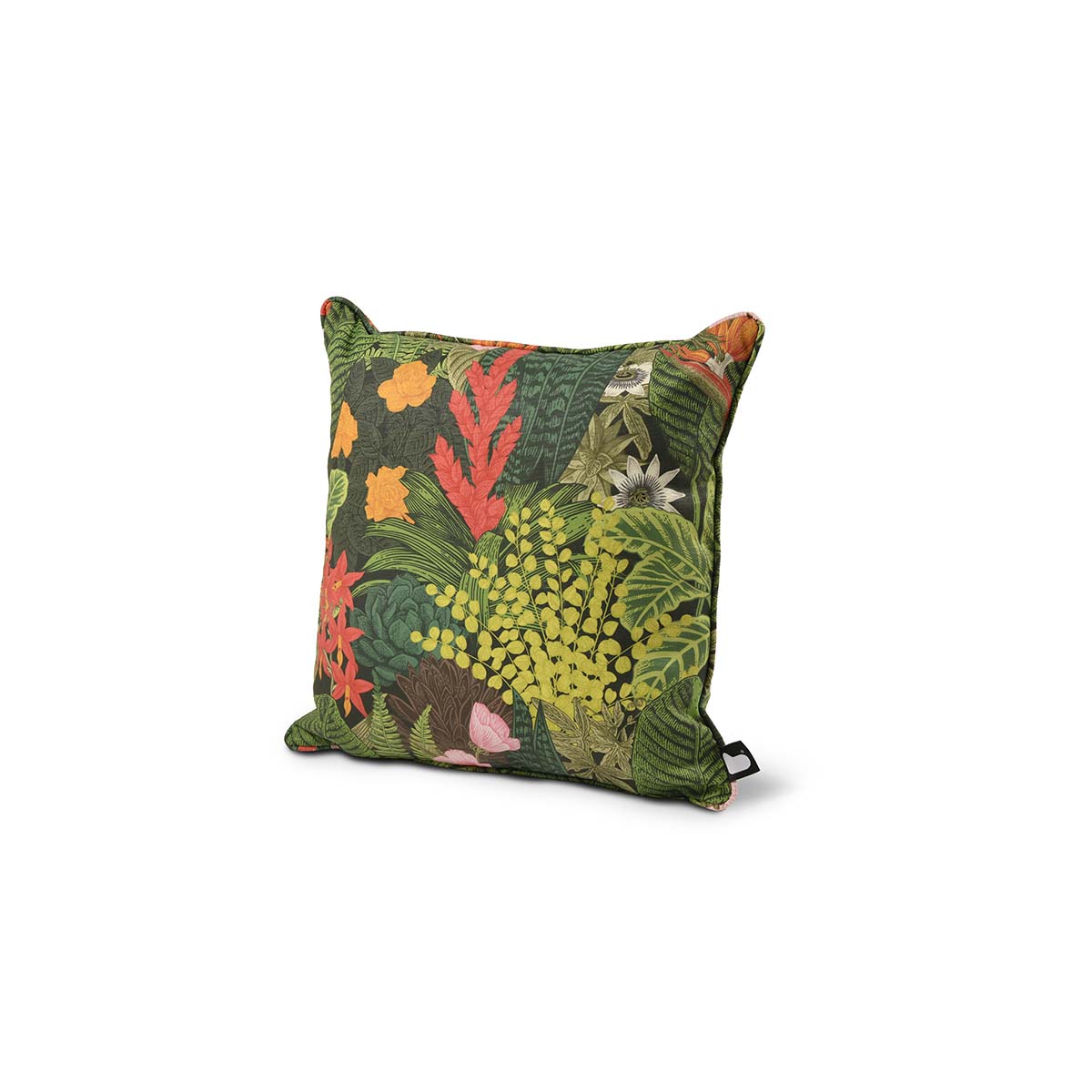 Graphic Leaves