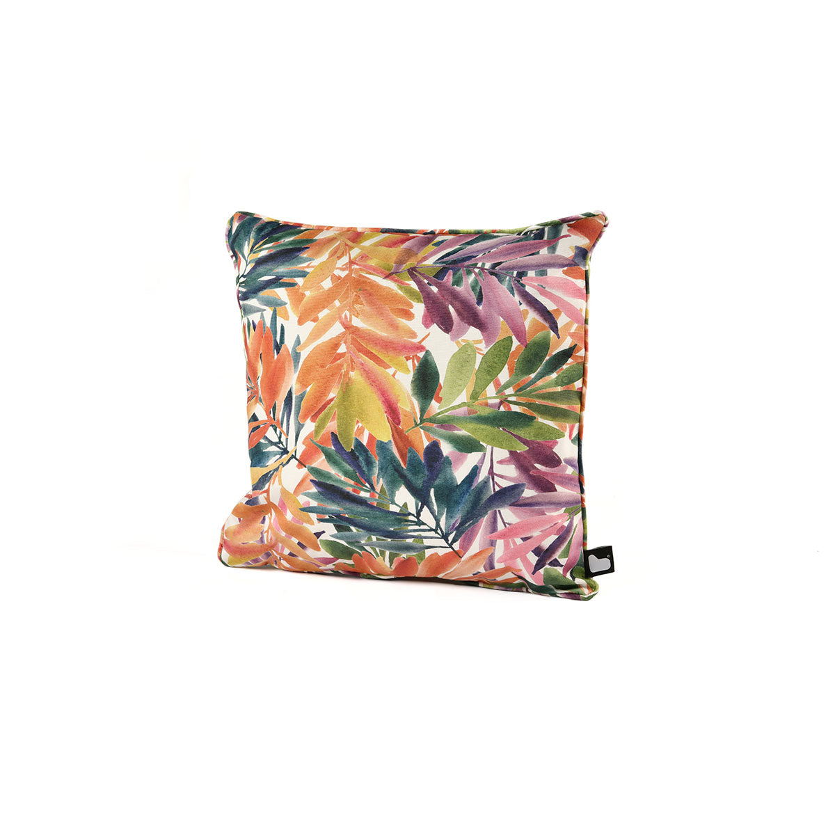 Tropical Palm